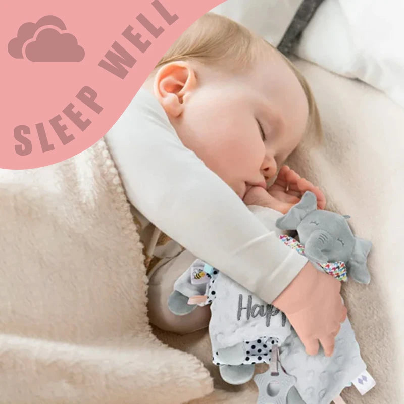 Personalized Newborn Baby Comforter Custom Minky Security Blanket with Teether Bunny Elephant Baby Shower Gift